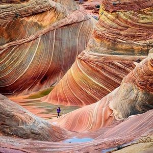 Meet your Posher, Adora